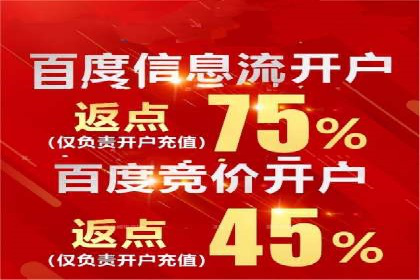 搜索开户返点揭秘：成功案例教你赚钱